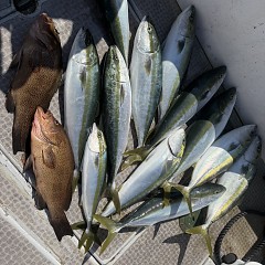 10月 11日（日）午前便・タテ釣りの写真その10