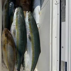 10月 11日（日）午前便・タテ釣りの写真その12
