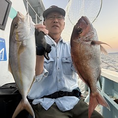 10月 11日（日）午後便・ウタセ真鯛の写真その2