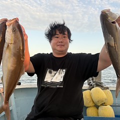 10月 12日（月）午後便・ウタセ真鯛の写真その1