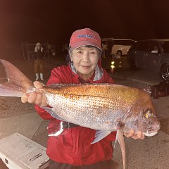 10月 19日（月） 午後便・ウタセ真鯛の写真その10