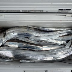 10月 20日（火）午前便・タチウオ釣りの写真その11