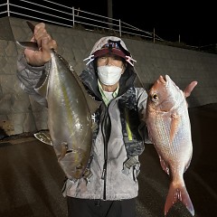 10月20日(火)午後便・ウタセマダイ釣りの写真その2
