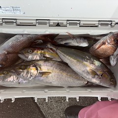 10月20日(火)午後便・ウタセマダイ釣りの写真その7