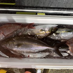 10月20日(火)午後便・ウタセマダイ釣りの写真その10