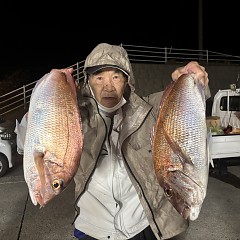 10月 21日(水)午後便・ウタセ真鯛の写真その12