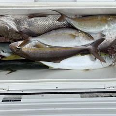10月 25日（日）午前便・タテ釣りの写真その6