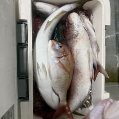 10月25日（日）午後便・ウタセマダイ釣りの写真その8