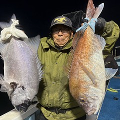 10月 29日（木）午後便・ウタセ真鯛の写真その1