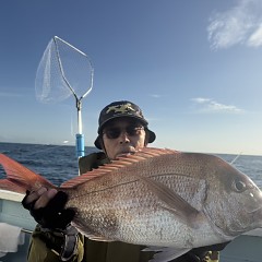 10月 29日（木）午後便・ウタセ真鯛の写真その6