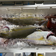 10月 29日（木）午後便・ウタセ真鯛の写真その8