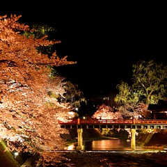 中橋 春