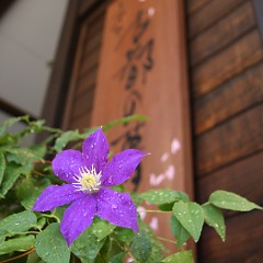鉄扇