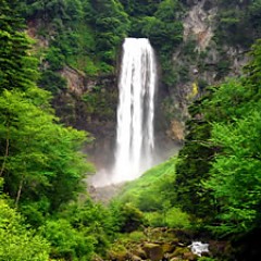 平湯大滝（ひらゆおおたき）の画像
