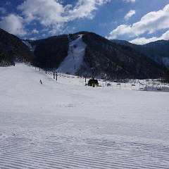 【サムネイル画像】12月19日（日）平湯スキー場オープン