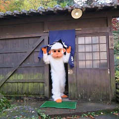 【サムネイル画像】平湯温泉ホームページリニューアル