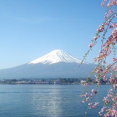 8月分の予約受付を開始してますの画像