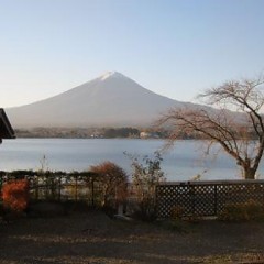 11月20日、午後7時テレビ東京の画像