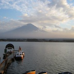 紅葉祭開催中ですの画像