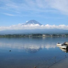 ライブカメラ、現在故障中ですの画像