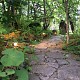 乗鞍スカイライン開山 ／  平湯温泉湯花祭りの画像