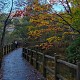 秋深まる上高地の画像