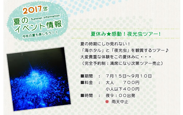 夏のイベント情報 夜光虫ツアー