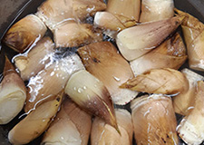 春の味覚・筍（木の芽焼きや筍ご飯など）