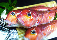 三国産　甘鯛（グジ）